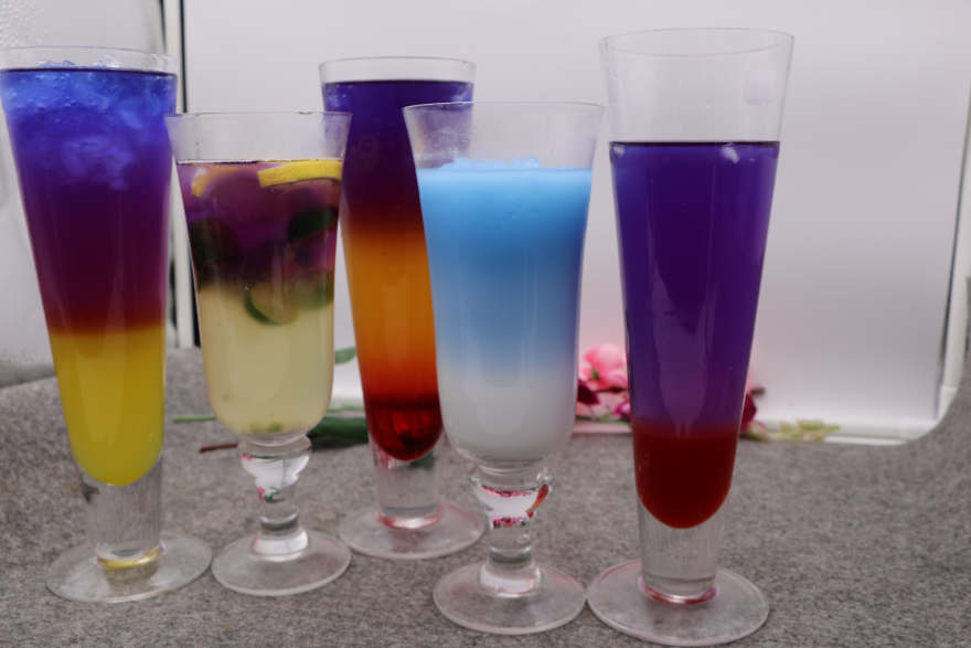 南京泰国蝶豆花培训